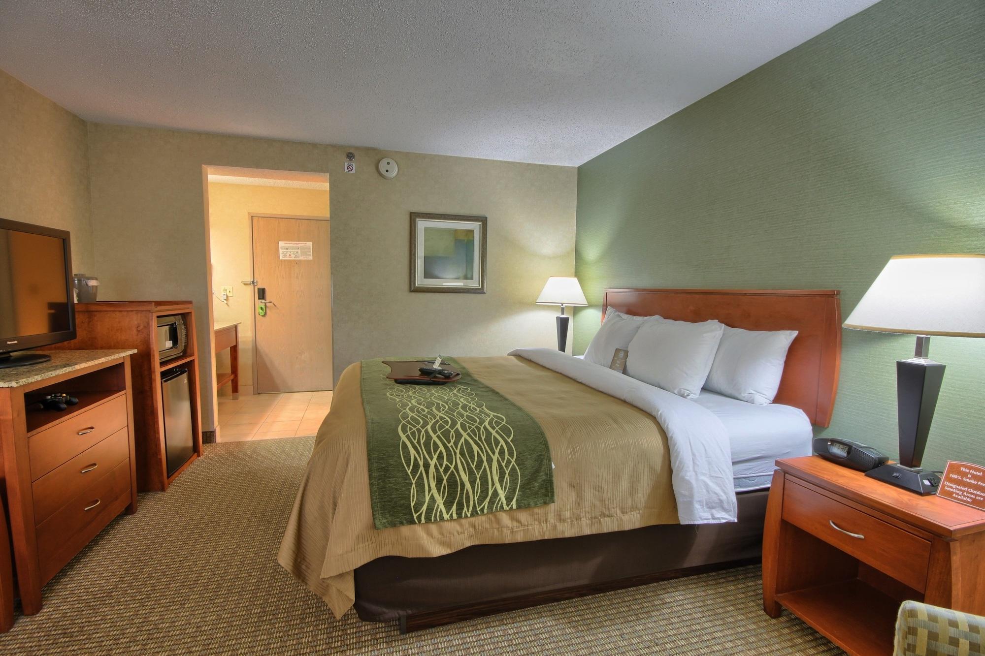 Comfort Inn Near Greenfield Village Dearborn Eksteriør billede